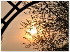 AREK JANUS Zabawa w chowanego