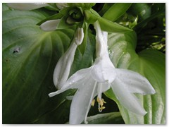 BARBARA KRZEMIŃSKA-SOBCZYK 02