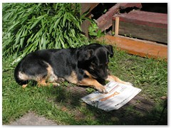 BARBARA KRZEMIŃSKA-SOBCZYK 03