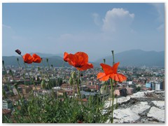 BARBARA KRZEMIŃSKA-SOBCZYK 04Piotrek Wlochy