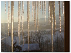 BARBARA KRZEMIŃSKA-SOBCZYK Bukowina luty 09