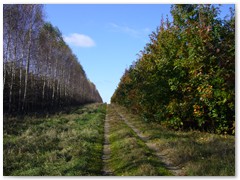 KASIA JANUS Gdzie lato spotyka się z jesienią.