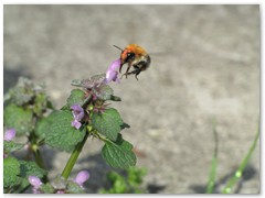 PIOTR BURZYŃSKI bar otwarty
