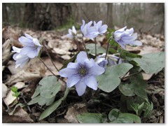 PIOTR BURZYŃSKI centrum radarowe