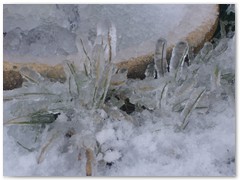 PIOTR BURZYŃSKI lodowe rzeżby