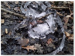 PIOTR BURZYŃSKI lodowe rzeżby2