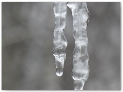 PIOTR BURZYŃSKI lodowe rzeżby 3