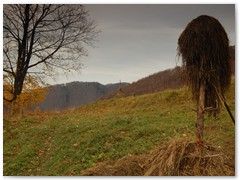 PIOTR SPOD JAWORZA 01