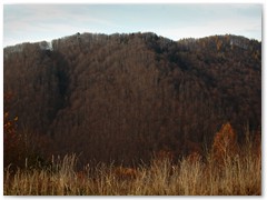 PIOTR SPOD JAWORZA 02