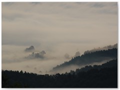 PIOTR SPOD JAWORZA 07