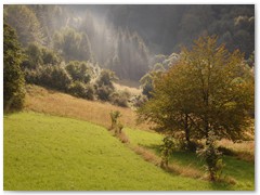 PIOTR SPOD JAWORZA 08