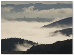 PIOTR SPOD JAWORZA 10