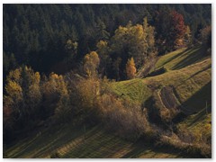 PIOTR SPOD JAWORZA 11