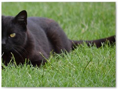 SYLWIA WIĘCKOWSKA  02