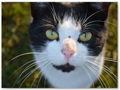 SYLWIA WIĘCKOWSKA  03