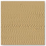 ASIA SZAFRAN – „GRACJE”