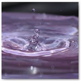 ASIA SZAFRAN – „GRACJE”