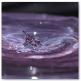 ASIA SZAFRAN – „GRACJE”