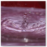 ASIA SZAFRAN – „GRACJE”