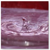 ASIA SZAFRAN – „GRACJE”