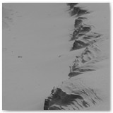 ASIA SZAFRAN – „GRACJE”