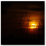 ASIA SZAFRAN – „GRACJE”