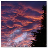 ASIA SZAFRAN – „GRACJE”