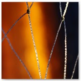 ASIA SZAFRAN – „GRACJE”