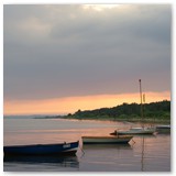 ASIA SZAFRAN – „GRACJE”