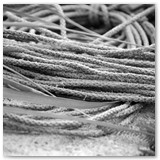 ASIA SZAFRAN – „GRACJE”