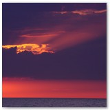 ASIA SZAFRAN – „GRACJE”