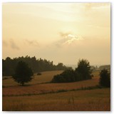 ASIA SZAFRAN – „GRACJE”