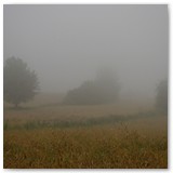 ASIA SZAFRAN – „GRACJE”