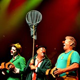 DOROTA  MIKOŁAJEWSKA