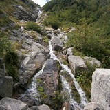 JOANNA FERSKA - RZEPKA