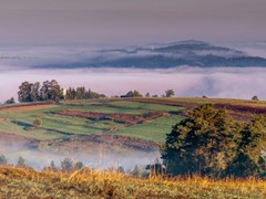 12 W drodze na Maciejową. Gorce. 2013-09