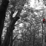 PIOTR ĆWIĄKAŁA 08