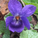 RAFAŁ MAJCHROWICZ 01