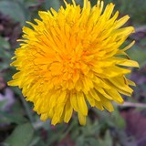 RAFAŁ MAJCHROWICZ 02