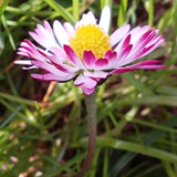 RAFAŁ MAJCHROWICZ 04