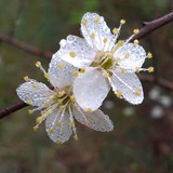 RAFAŁ MAJCHROWICZ 05