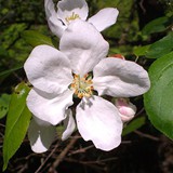 RAFAŁ MAJCHROWICZ 06