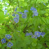 RAFAŁ MAJCHROWICZ 08