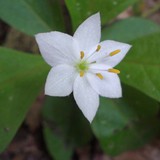 RAFAŁ MAJCHROWICZ 09