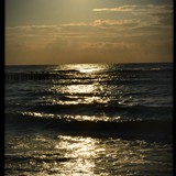 SYLWIA WIĘCKOWSKA 03