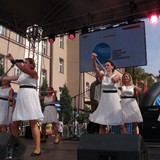 business run 2014 (1)