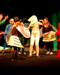 Co w trawie piszczy?